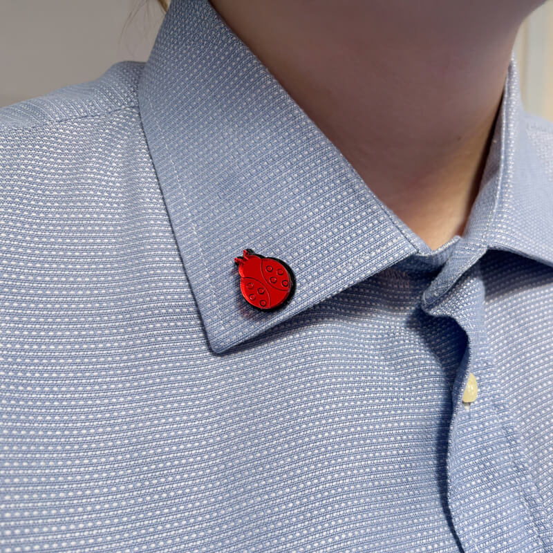 Coccinella rosso Immaginiera